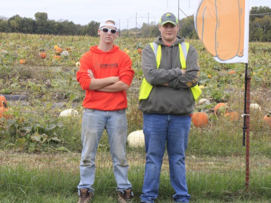 Working the pumpkin patch field at Gieringers, junior John Davis and sophomore Austin Sandman help customers during the fall season.