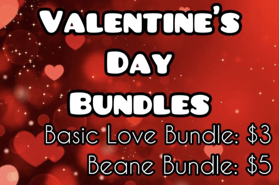 Pricing for the different bundles available for purchase.