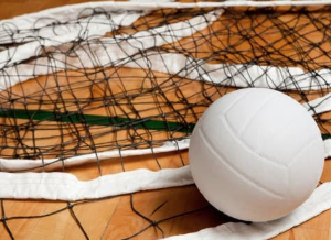 Where Passion Meets the Court